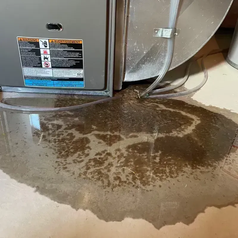 Appliance Leak Cleanup in Caruthersville, MO